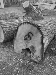 Sculptor_pleinair_Gerstenberger-web